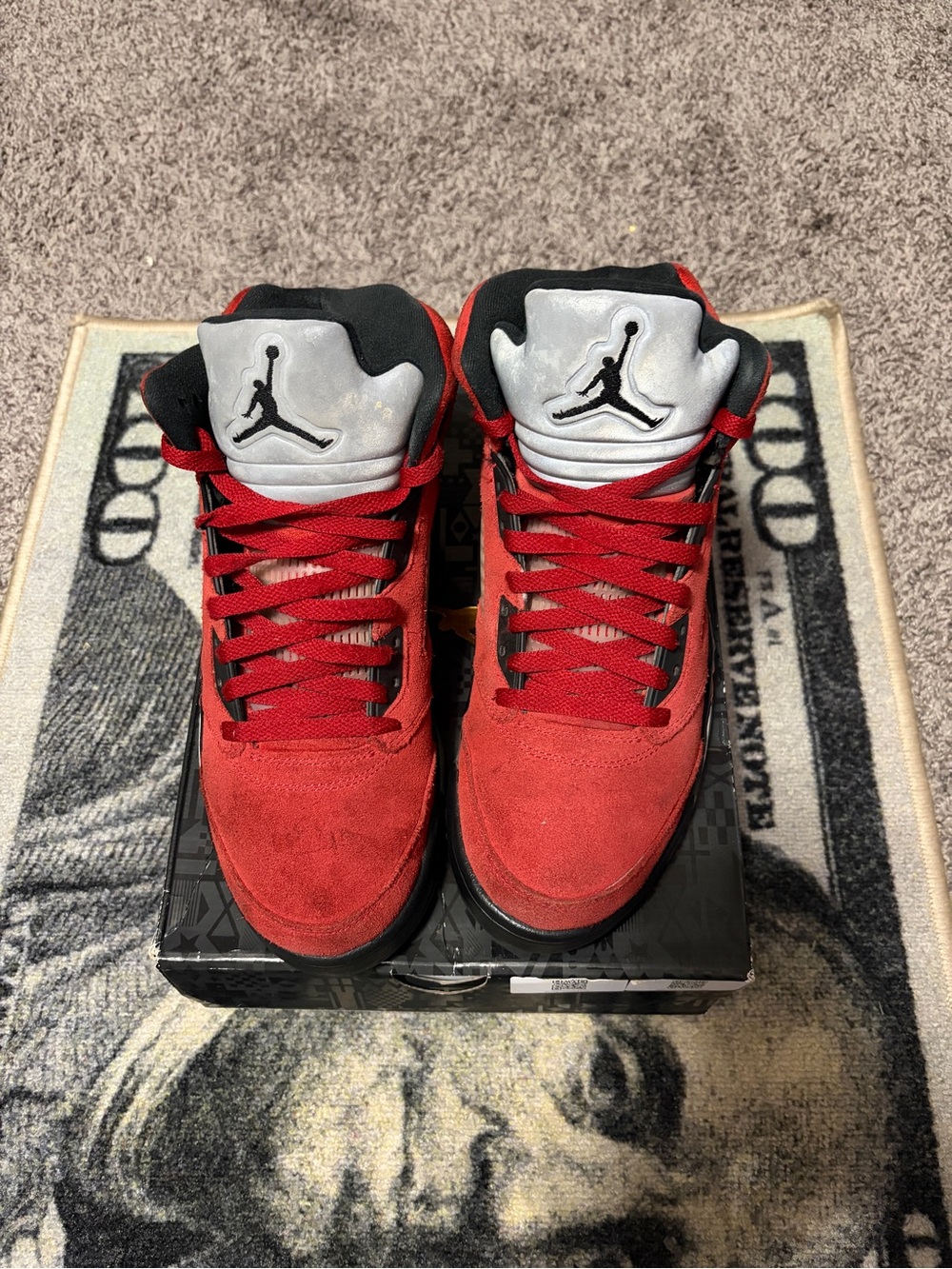 Air Jordan 5 raging bull